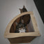 Cat Climbing Shelves Wall Mounted Cat Bridge And Cat House Wooden Pet Shelves Tree Tower For Sleeping Climbing Cat Perch Tree