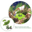 Plant For Fish Tank Lasting Widely-used Decorative Aquarium Grass Freshwater Aquarium Plant Betta Fish Tank Plants Landscaping