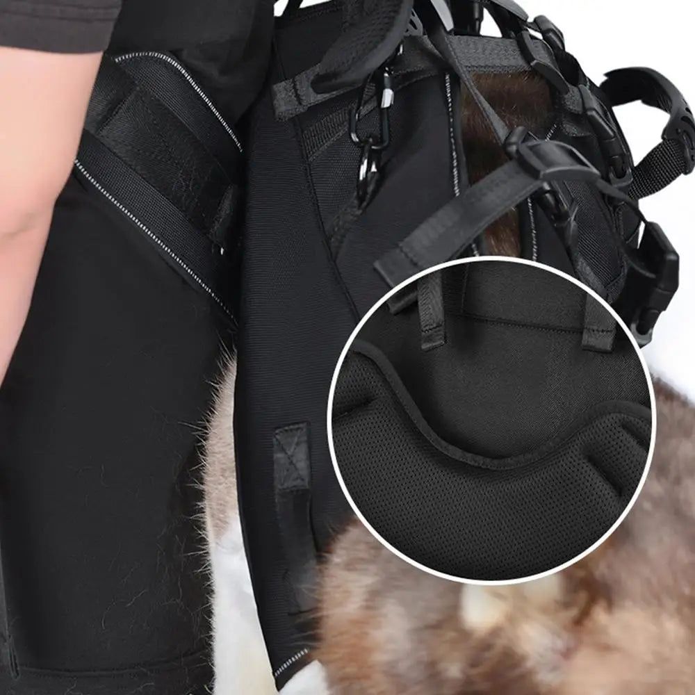 Dog Lift Harness Dog Backpack Harness Adjustable Pet Rear Hip Support Lift Breathable Dog Support & Recovery Sling For Puppy Dog