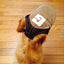 Sport Dog Baseball Cap Outdoor Pet Sunbonnet Hats Puppy Cap with Adjustable Ears Hole for Dogs Outdoor Summer Dogs Accessories