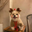 Funny Pet Dog Cat Halloween Costume Dog Costumes for Small Dogs Cosplay Elk Transformed Winter Warm Dog Clothes