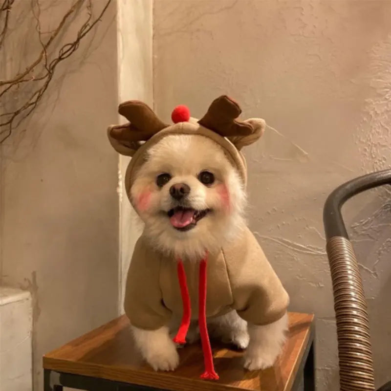 Funny Pet Dog Cat Halloween Costume Dog Costumes for Small Dogs Cosplay Elk Transformed Winter Warm Dog Clothes
