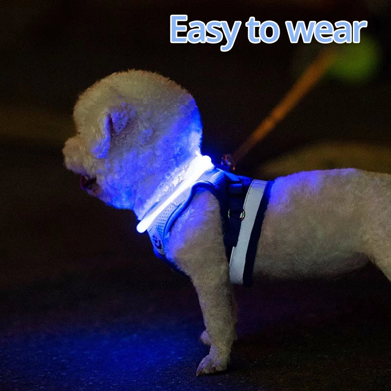 LED Dog Collar Light Up Dog Collars USB Rechargeable TPU Glow Safety Basic Dog Collars for Large Medium Small
