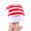 Pet Cat Dog Christmas Hat Cap Puppy Dog Accessories for Small Dogs Dog Costume Dog Hats for Cats Dog Costumes Pet Supplies