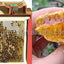 Small Investment And High Profits Honey Bee Hives For Sale Rearing Tools Beehive