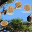 Breeding Nest For Birds Hand Woven Flat Base Straw Bird Nest Hatch House Bird Shelter Bird Cage Accessories Bird Hut