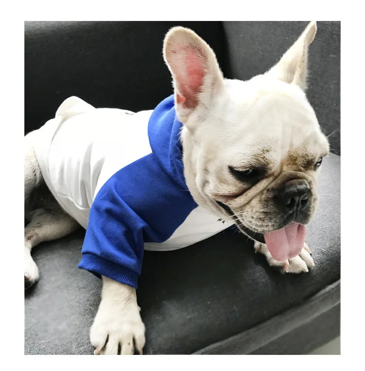 Parent-child Wear Dog Clothes for Small Dogs  Dog Hoodie  Dog Costume  Pet Clothes Spring and Autumn Breathable Keep Warm