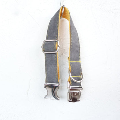 Stylish Dog Collar