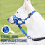 PupGuard™ | Secure & Comfortable Dog Halter for Walking and Training