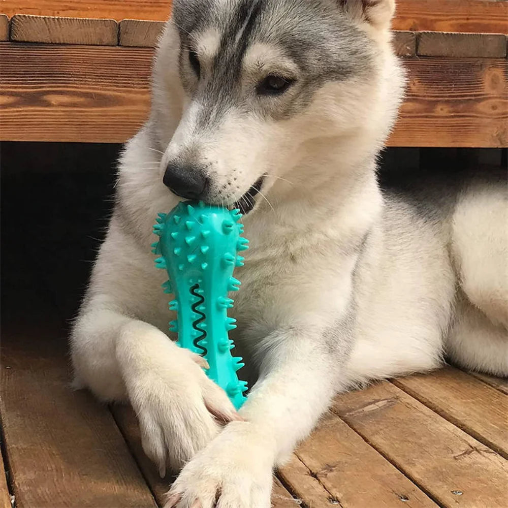 Dental Flex Chew Toy
