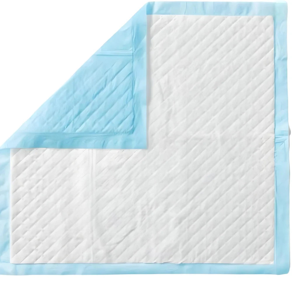 Disposable Absorbent Training Pads