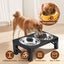 Foldable Raised Dog Bowl Stand
