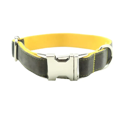 Stylish Dog Collar