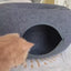 "Peek-A-Boo" Cat Cave | A Dual-Use Toy and Cozy Bed for Your Playful Kitty