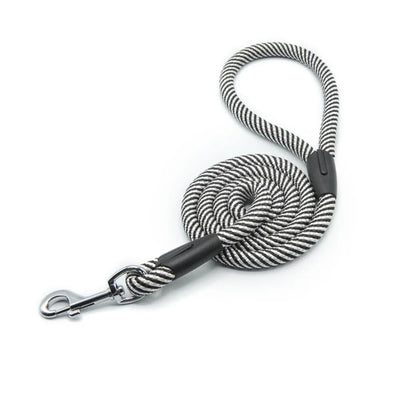 Spiral Dog Leash