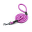 Spiral Dog Leash