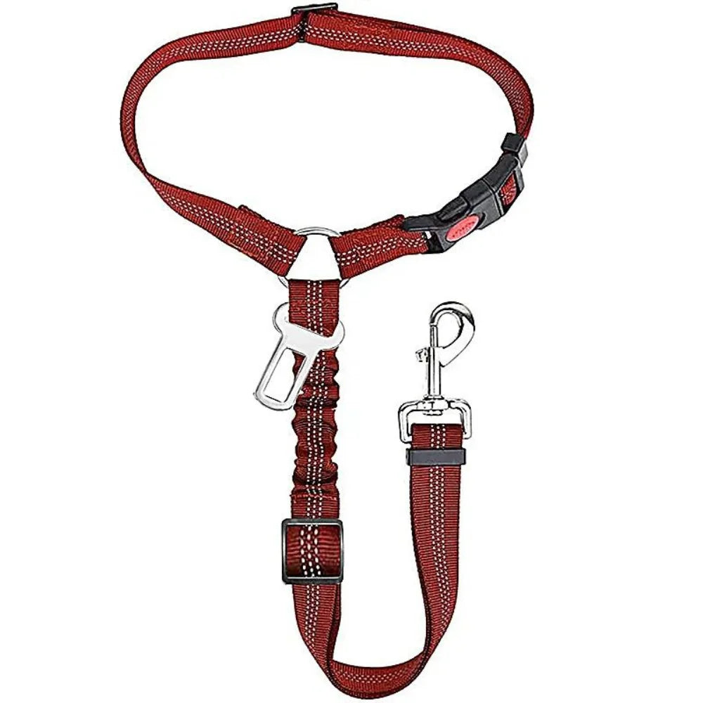 Adjustable Safety Leash