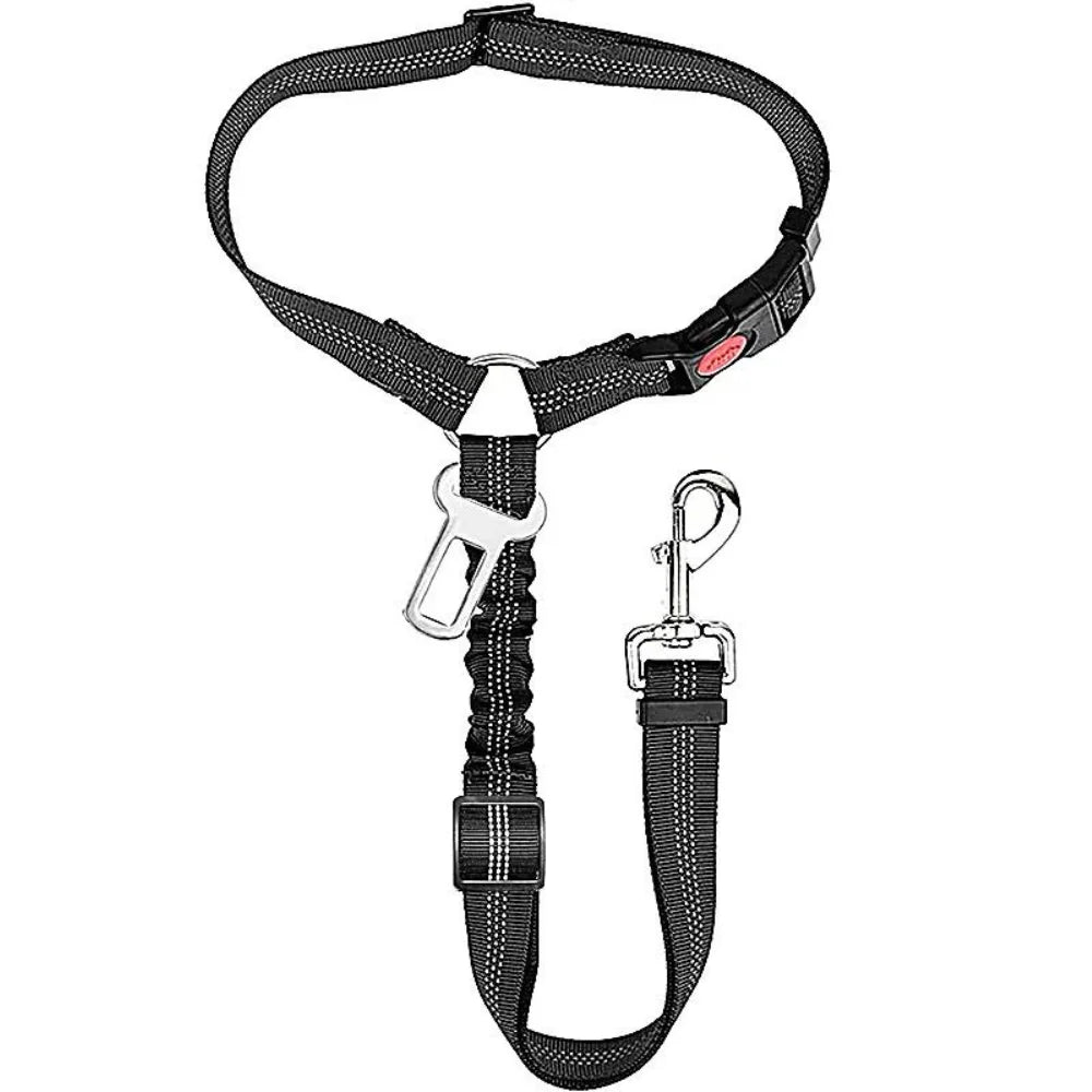 Adjustable Safety Leash