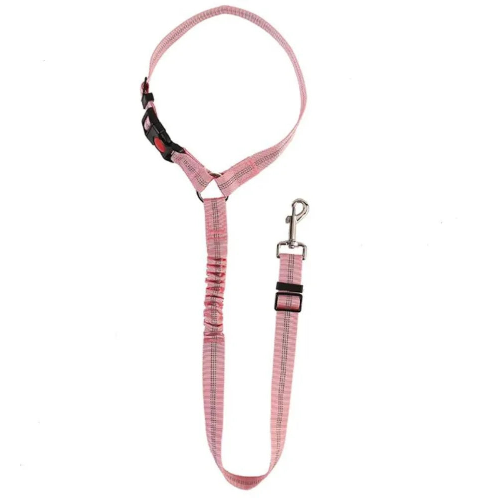 Adjustable Safety Leash
