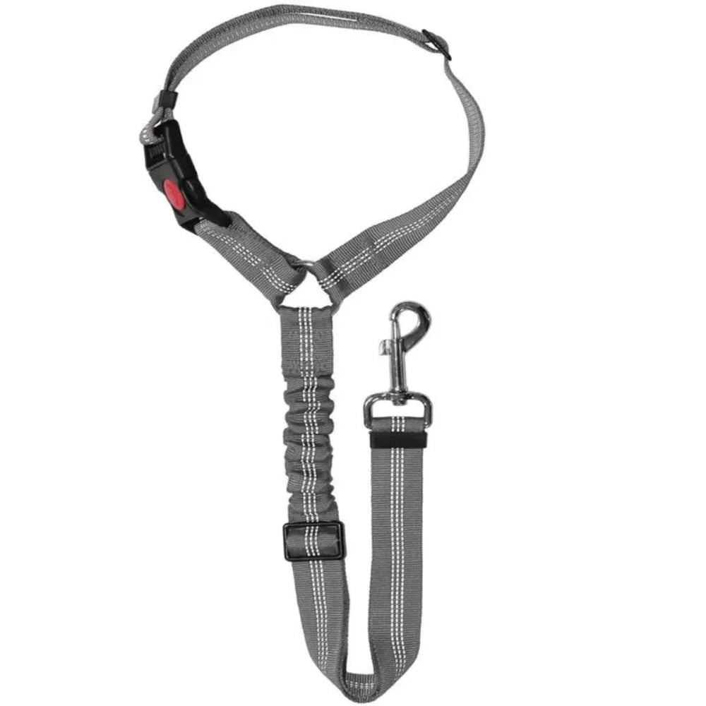 Adjustable Safety Leash
