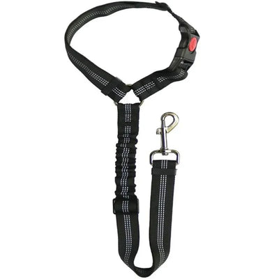 Adjustable Safety Leash