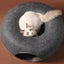 "Interactive Donut Cat Bed: A Dual-Use Toy and Cozy Bed for Your Playful Kitten!"